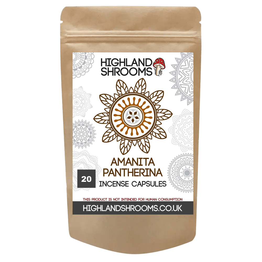 Amanita Pantherina Incense Capsules | 450mg