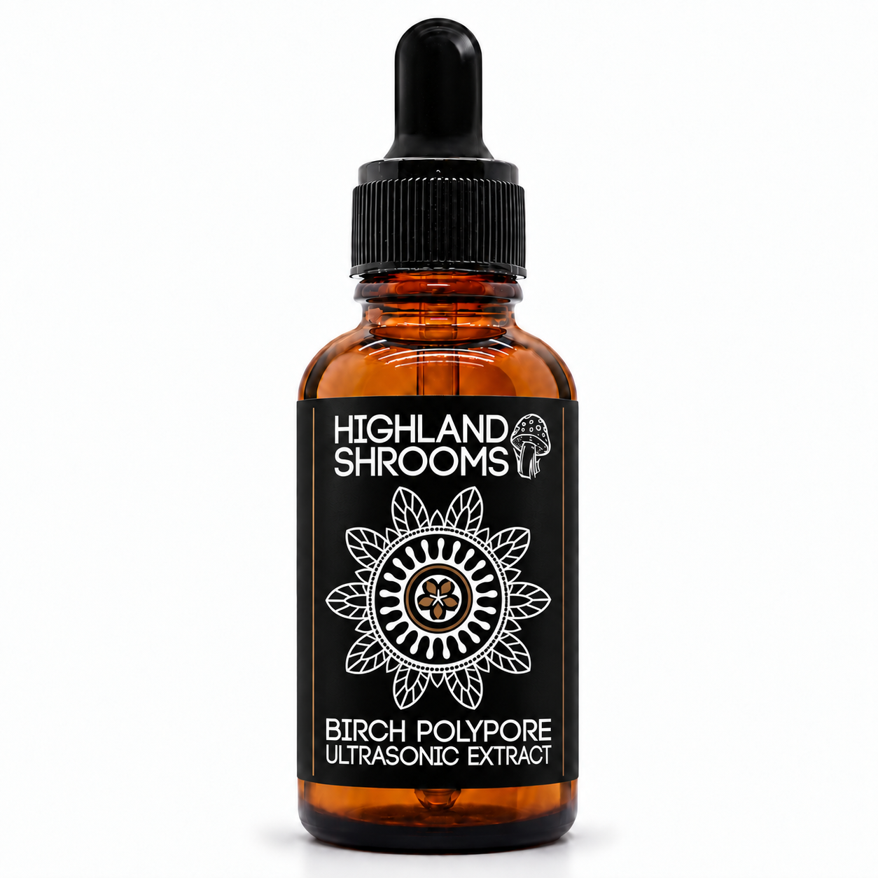 Birch Polypore Tincture | Dual Extracted Ultrasonic Extract 50ml